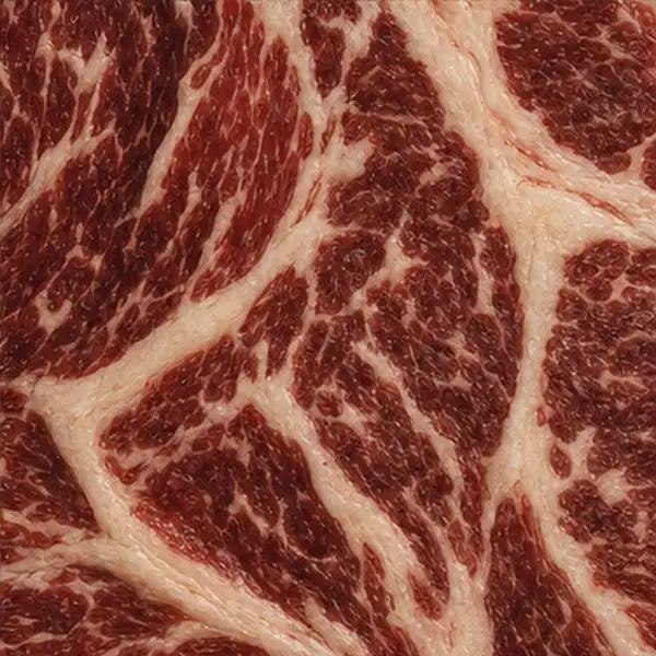 Close view of richly marbled beef